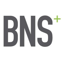Bns, Brand New Solutions