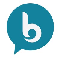 Brunette Games logo - Similar company to Raba Games