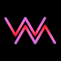 Webmasters4SEO logo - Similar company to Fireblaze