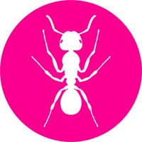 ANT logo - Similar company to Ant