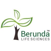 Berunda Life Sciences logo - Similar company to Patco Consultancy Llp
