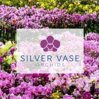Silver Vase logo - Similar company to Florida Nursery, Growers & Landscape Association (Fngla)