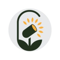 Lightscapes Outdoor Lighting logo - Similar company to Ironbound Boats Ltd.