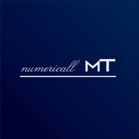 Numericall MT logo - Similar company to Astrid Ecommerce