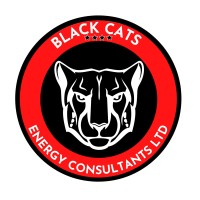 Black Cats Energy Consultants Ltd logo - Similar company to Cynthian Consulting Ltd