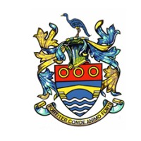 The Geotechnical Division of SAICE (South African Institution of Civil Engineering) logo - Similar company to Gfc Consulting Engineers