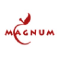 Magnum Realty Holdings Llc