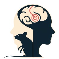 Neuromodulation Research Group KU Leuven logo - Similar company to Banco De Tejidos Neurológicos Incyl