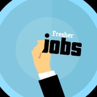 IT internship job logo - Similar company to Softflew Software Services- Best It Company In Lucknow | Website Designing | Seo Internship