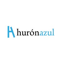 Hurón Azul logo - Similar company to Mlv Contadores