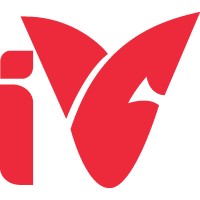iVibes Digital logo - Similar company to Data Domini