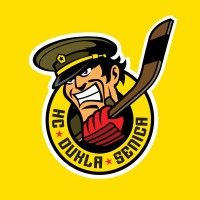 HC Dukla Senica logo - Similar company to Wink & Nod
