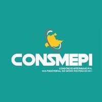 Consmepi logo - Similar company to Amepi