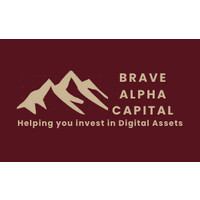 Brave Alpha Capital logo - Similar company to Kerneldao