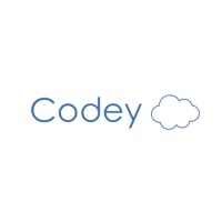CodeyCloud Technologies logo - Similar company to Nivasoft