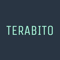 Terabito logo - Similar company to Dataweps