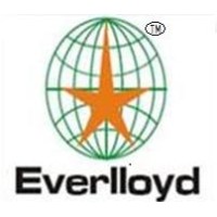 Everlloyd Container Lines Pvt Ltd logo - Similar company to Edugate Engineering Academy