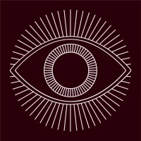 Osheru - Ziplyft logo - Similar company to Intelon Optics