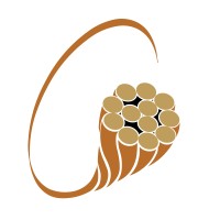 Town & Country Group logo - Similar company to Electromods