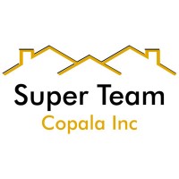 Super Team Global logo - Similar company to Local Business Partners