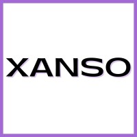 Xanso Fitness logo - Similar company to 300