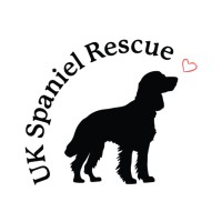 UK Spaniel Rescue logo - Similar company to Thepixelcinema