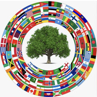 World Orphanage Foundation logo - Similar company to The Hand Project