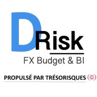 D-Risk FX logo - Similar company to Carryu