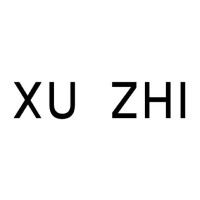 Xu Zhi logo - Similar company to Flm Studio