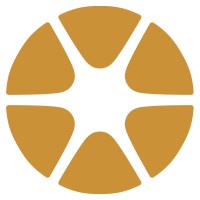 Nadace Neuron logo - Similar company to Inekon Systems