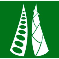 Brightside Bamboo