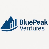 BluePeak Ventures logo - Similar company to Ace Research & Advisory