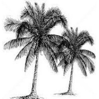 JEANIOLOGIE INC. logo - Similar company to Point Zero