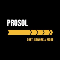 PROSOL Servicios Industriales logo - Similar company to Hora Cero Web