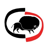 Fondazione Il Bisonte logo - Similar company to Centrica - Imagine More