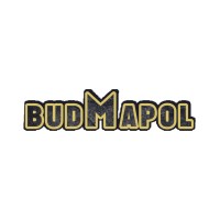 Budmapol - malowanie i mycie dachów logo - Similar company to Ecoblossom |  Opakowania Ekologiczne