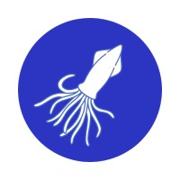 Scry Quest Interactive Development Inc. logo - Similar company to Diversity In Games