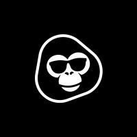 Tech Moncs logo - Similar company to Software Stories Ltd
