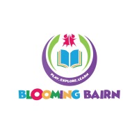 Blooming Bairn logo - Similar company to Igs Financial Services Limited