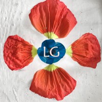 Leo Gilbert Communications