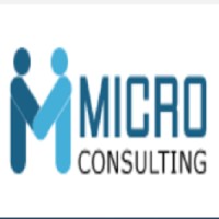 MicroConsulting logo - Similar company to Callmate