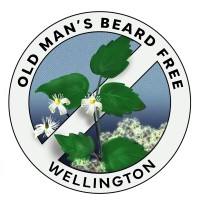Old Man'S Beard Free Wellington