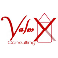 Valmy Consulting logo - Similar company to Valmy Innovation / Valmy Conseil
