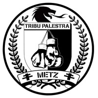 TRIBU PALESTRA METZ - OFFICIEL logo - Similar company to Côté Bloc