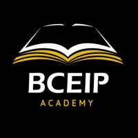 BCEIP Academy logo - Similar company to Pylon Group