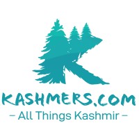 Kashmir Gen Z Pvt. Ltd. logo - Similar company to Cut & Paste