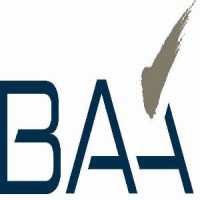 Business Aviation Asia Ltd. logo - Similar company to Handao Tech
