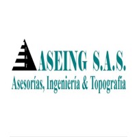 ASEING SAS logo - Similar company to Meisa S.A.S