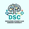 Developers Student Club Hamdard University-Karachi logo - Similar company to Digitalfrog