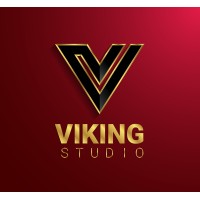 The Viking Studio logo - Similar company to Numzz Tech